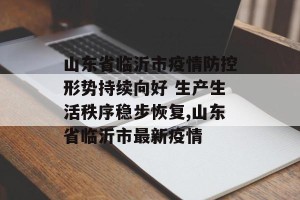山东省临沂市疫情防控形势持续向好 生产生活秩序稳步恢复,山东省临沂市最新疫情