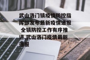 武山洛门镇疫情防控指挥部发布最新疫情通报 全镇防控工作有序推进,武山洛门疫情最新通报