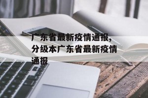 广东省最新疫情通报,分级本广东省最新疫情通报