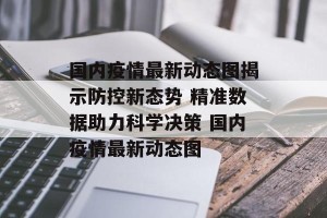 国内疫情最新动态图揭示防控新态势 精准数据助力科学决策 国内疫情最新动态图